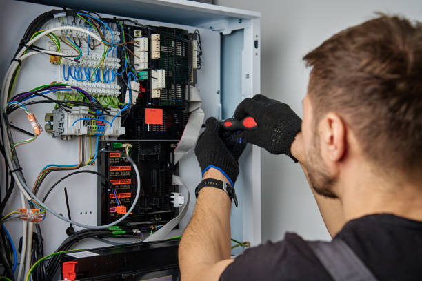 Licensed Electrical Panel Upgrade service in Lowell, MI - No Joke electrician